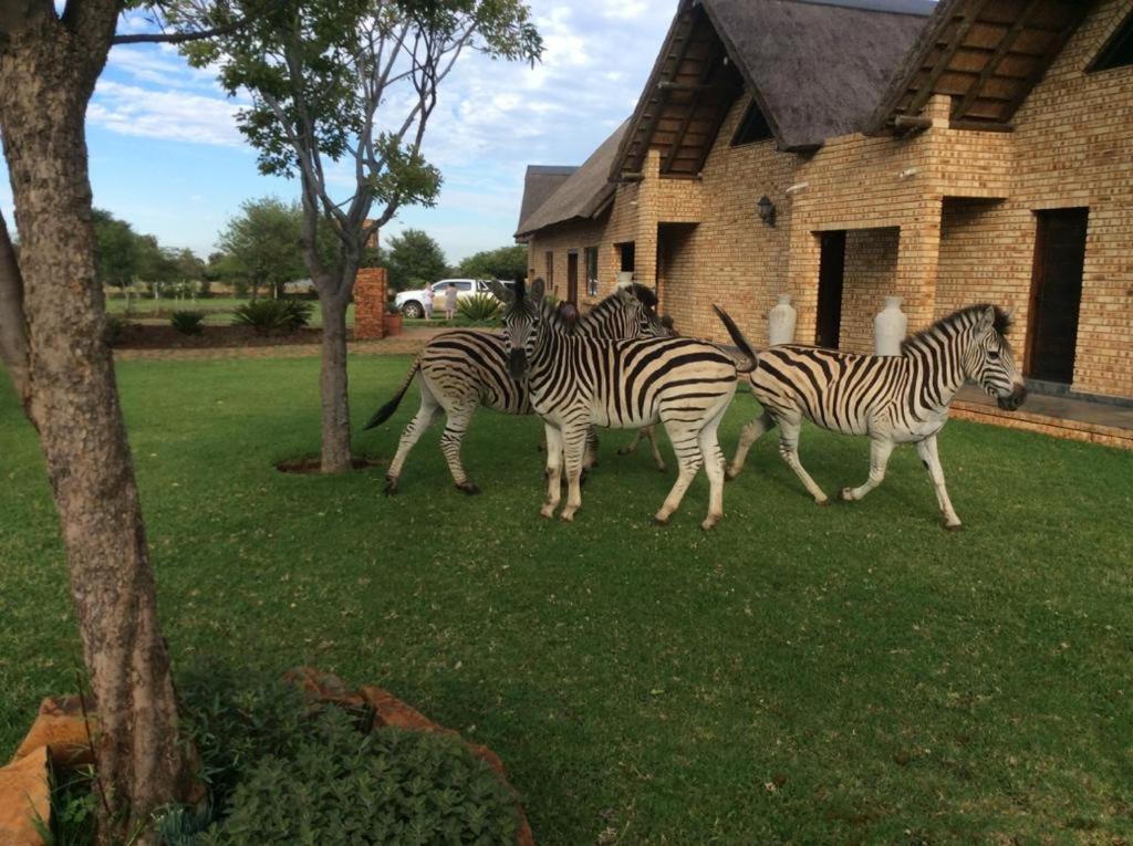 The Vaal Guesthouse Oranjeville Exteriör bild